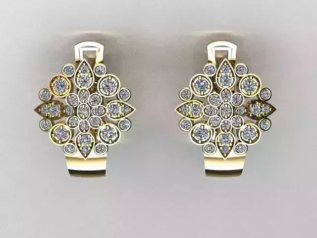 jewelry earrings