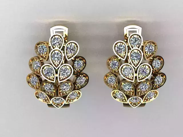 jewelry earrings