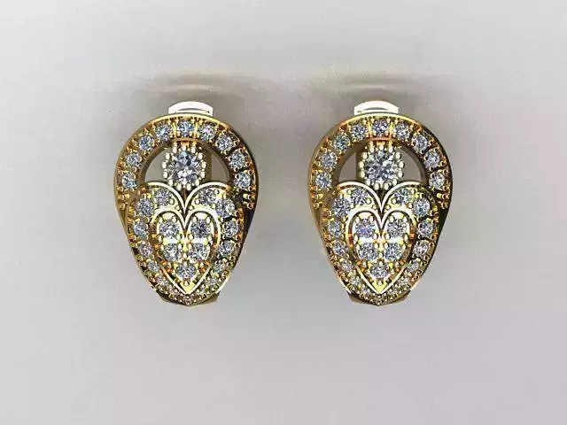 jewelry earrings