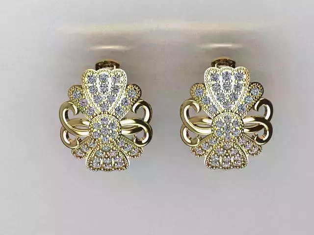 jewelry earrings