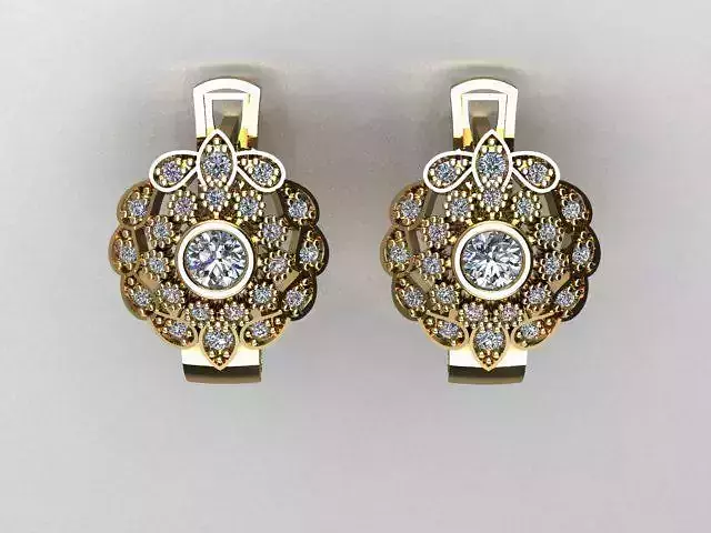 jewelry earrings
