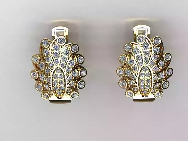 jewelry earrings