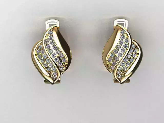 jewelry earrings