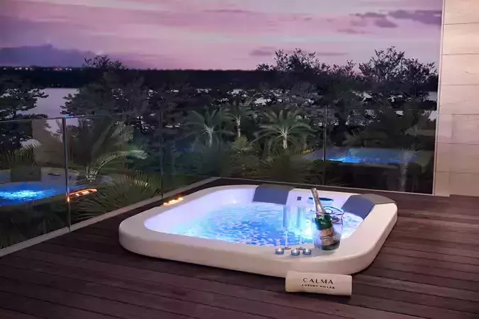 Jacuzzi bottle of champagne in ice bucket