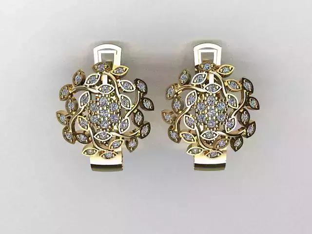 jewelry earrings