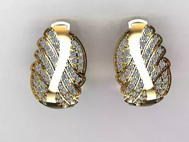 jewelry earrings