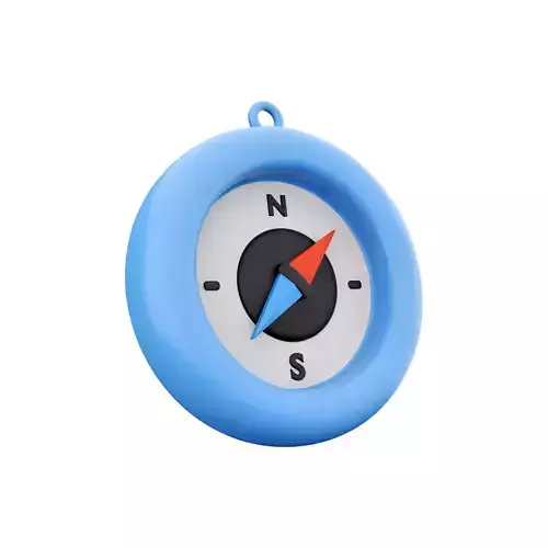 3d compass icon