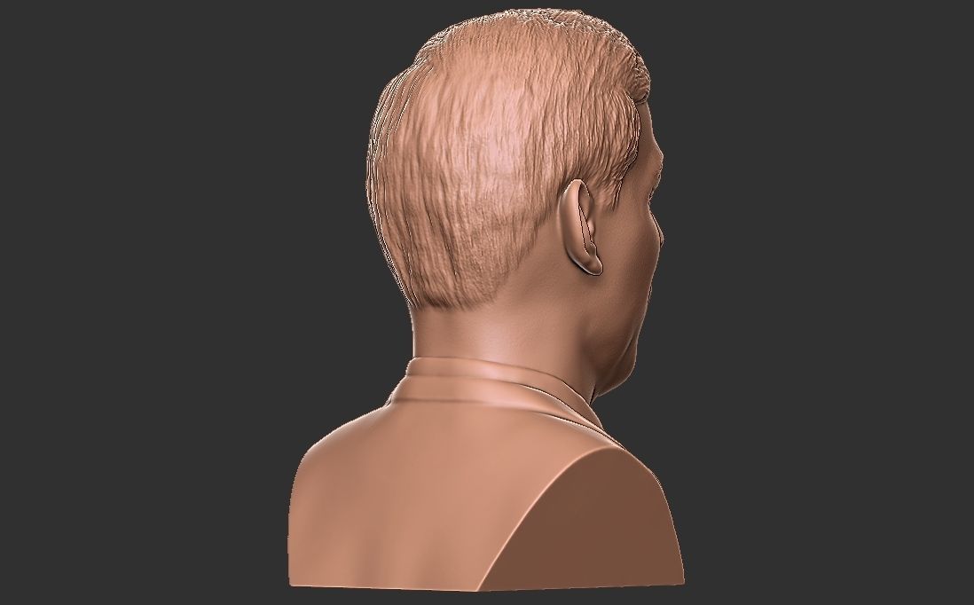 Rishi Sunak bust for 3D printing 3D print model_13