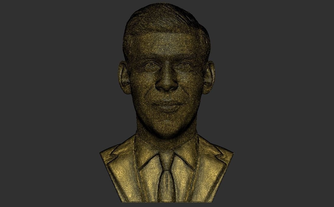 Rishi Sunak bust for 3D printing 3D print model_29