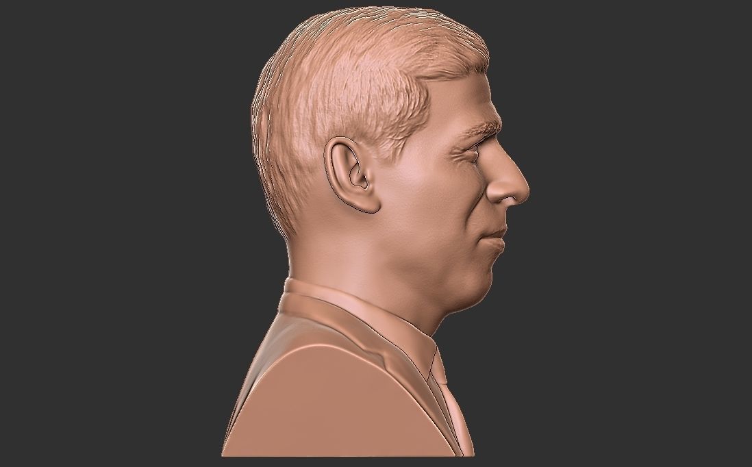 Rishi Sunak bust for 3D printing 3D print model_14