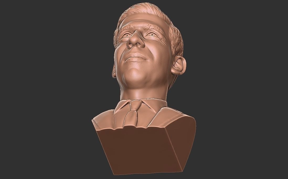 Rishi Sunak bust for 3D printing 3D print model_26
