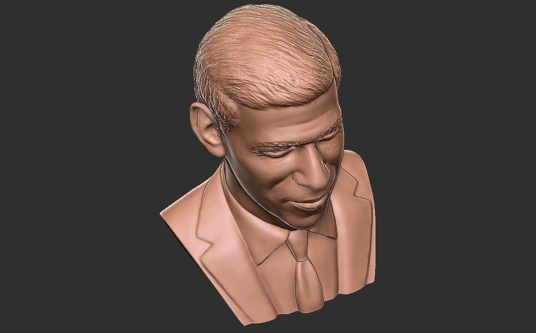 Rishi Sunak bust for 3D printing 3D print model_24