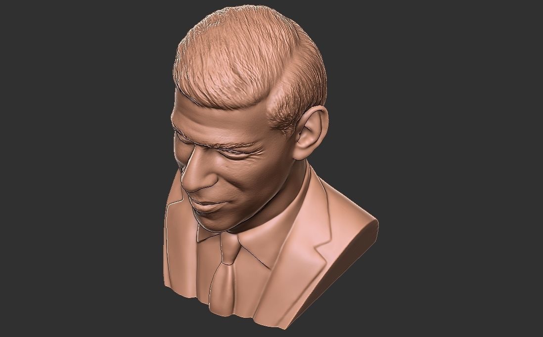 Rishi Sunak bust for 3D printing 3D print model_25
