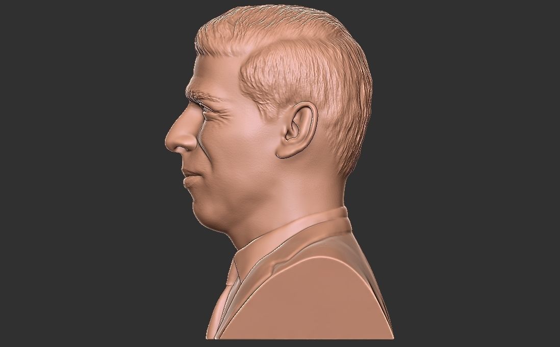 Rishi Sunak bust for 3D printing 3D print model_10