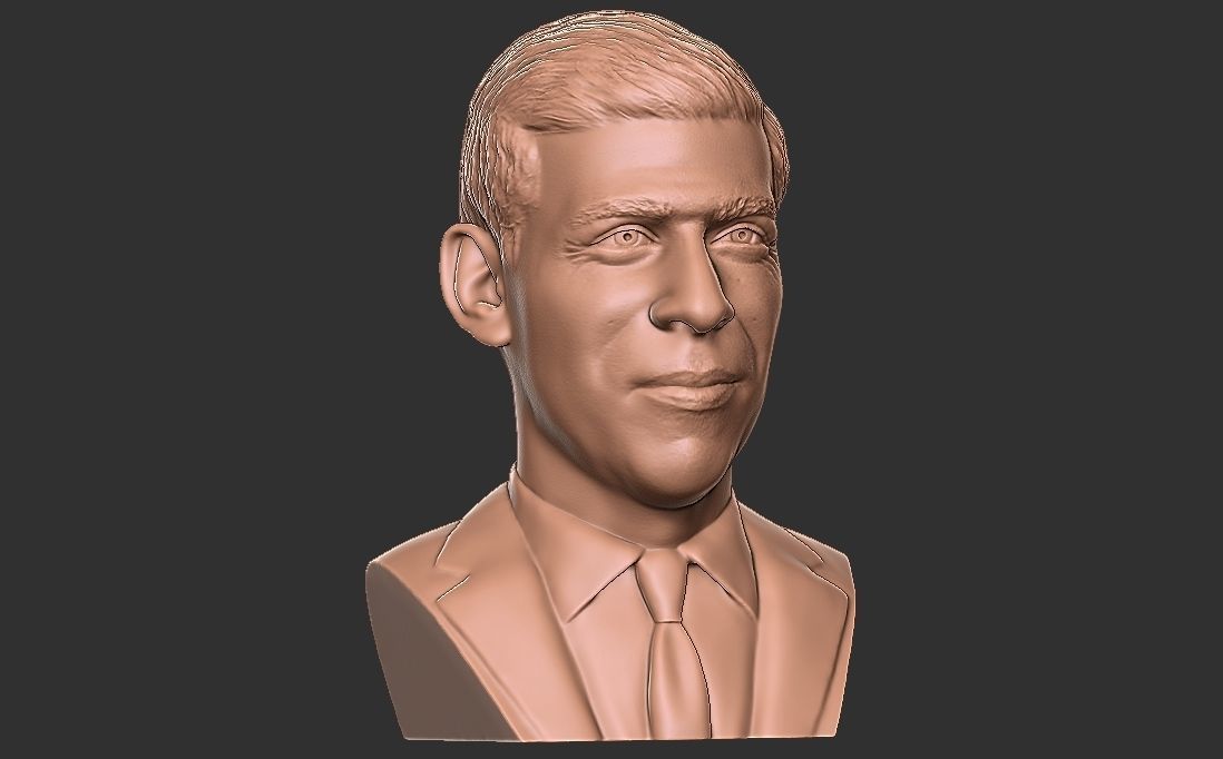 Rishi Sunak bust for 3D printing 3D print model_17