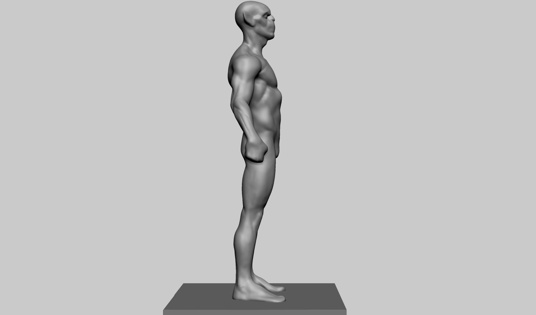 Base Creature Body A 3D model_3