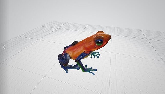 Venomus Frog -- Oophaga Pumilio 3D model