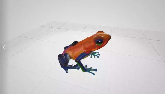 Venomus Frog -- Oophaga Pumilio