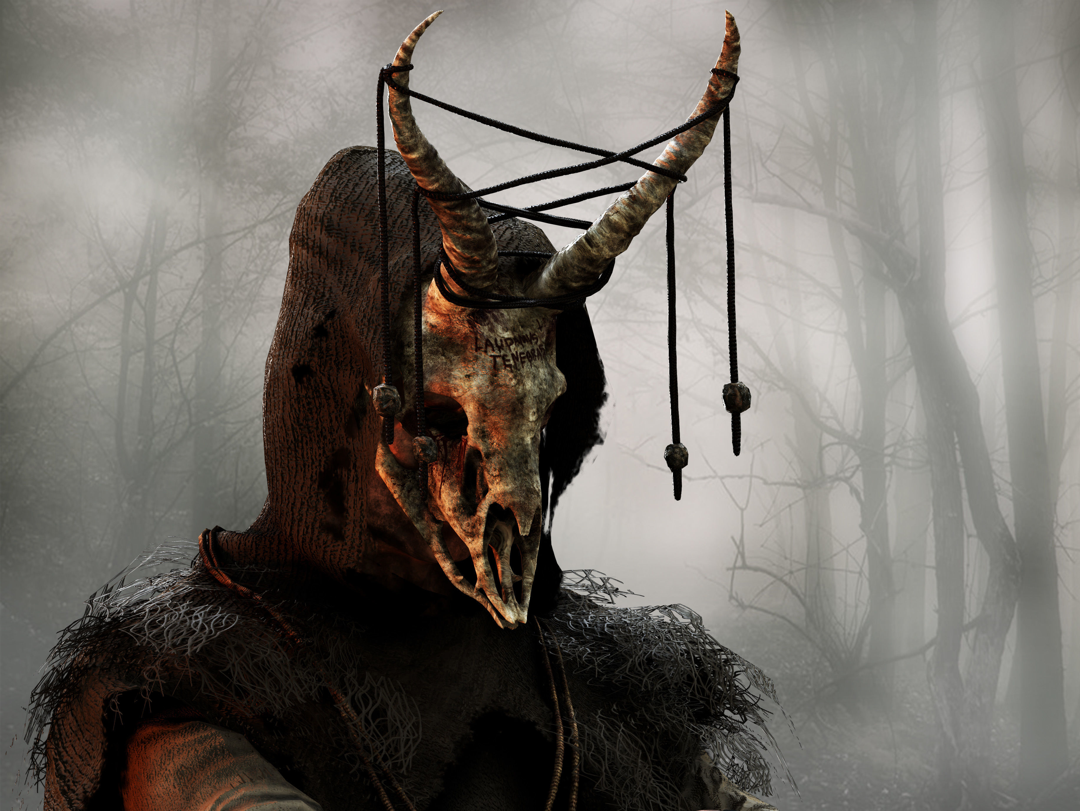 Occult Shaman Low-poly 3D model_4