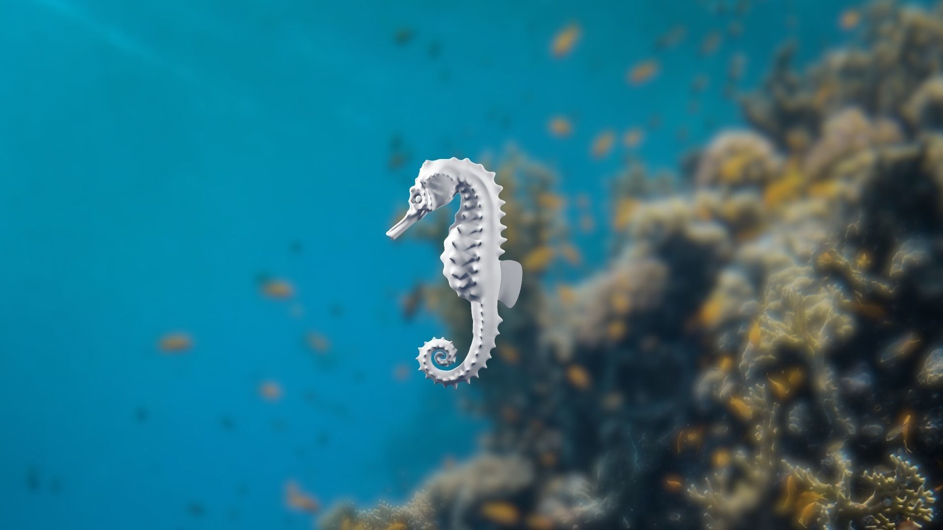 Lowpoly Seahorse Pack Low-poly 3D model_18
