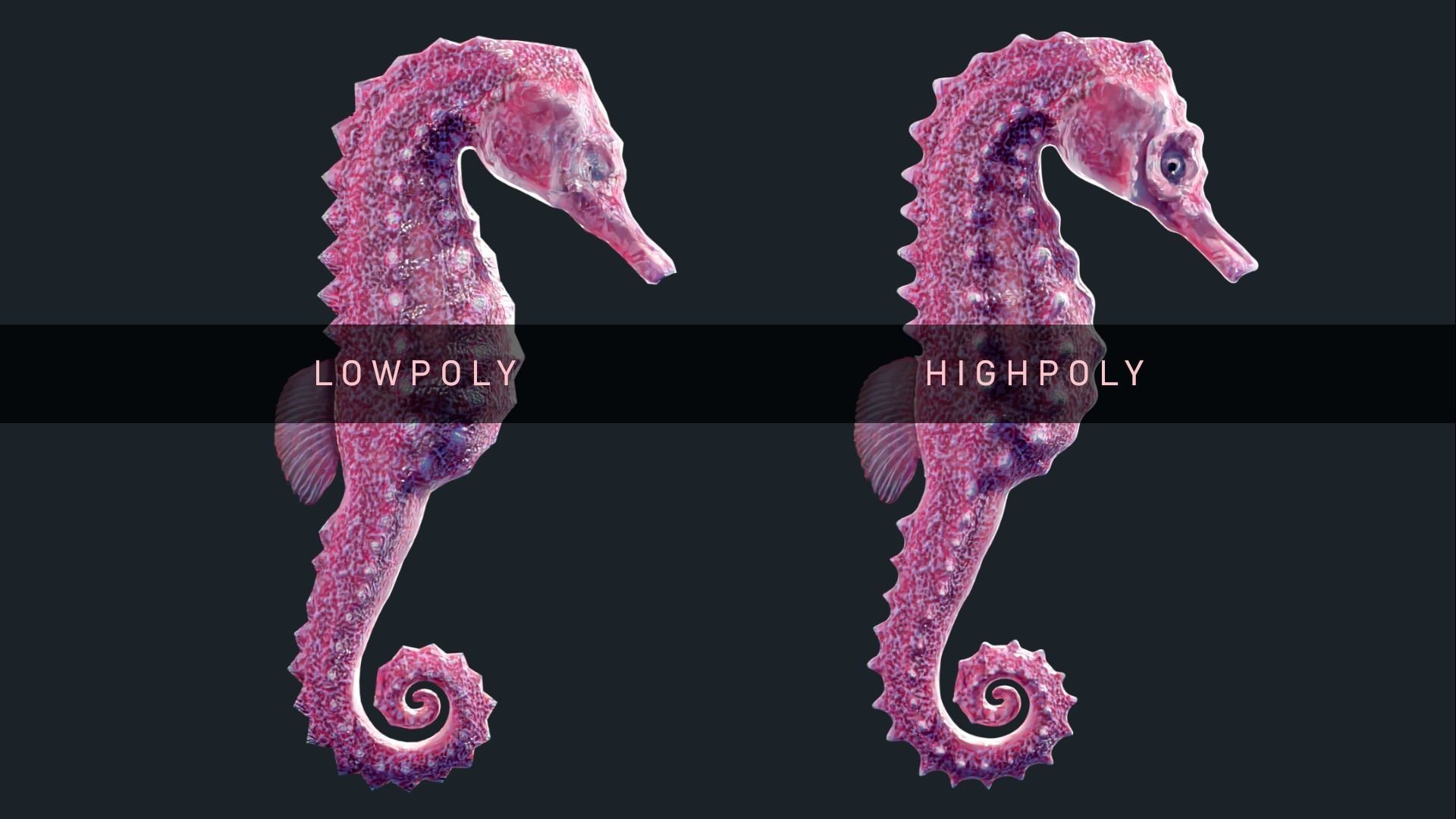 Lowpoly Seahorse Pack Low-poly 3D model_3