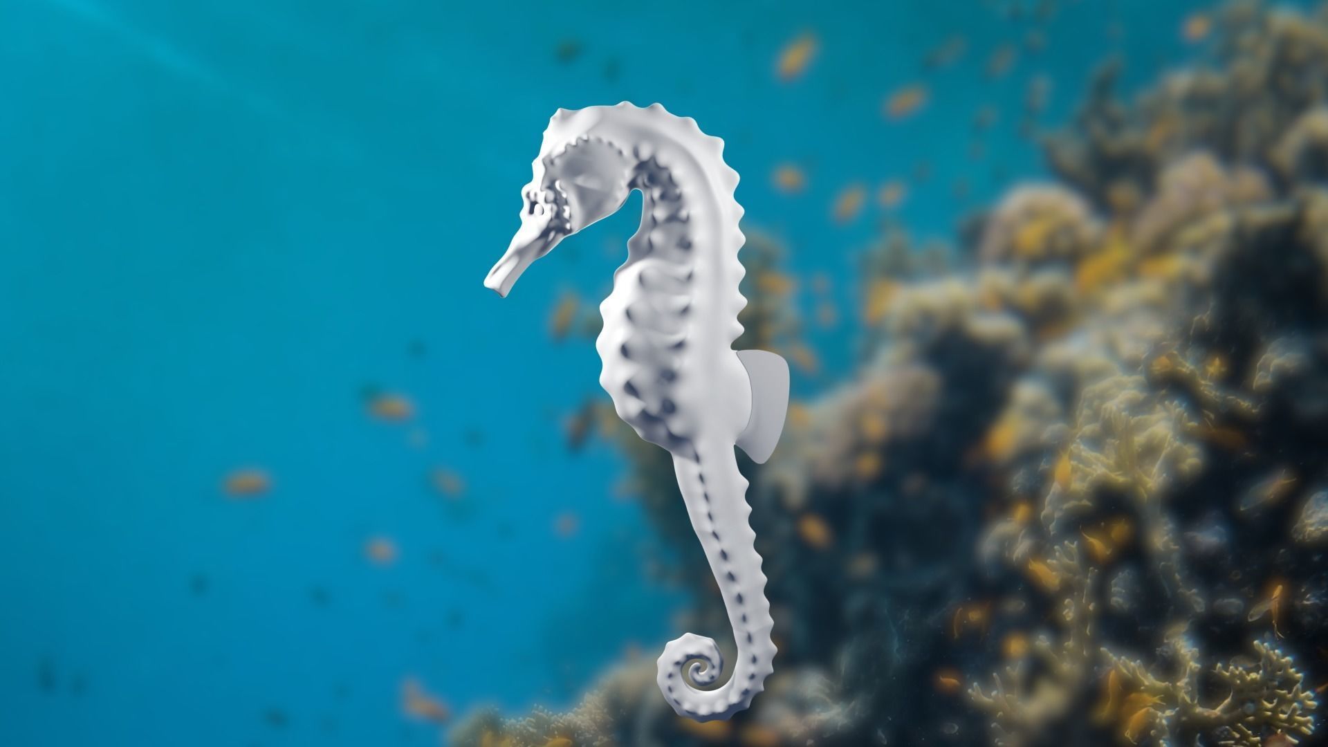 Lowpoly Seahorse Pack Low-poly 3D model_14