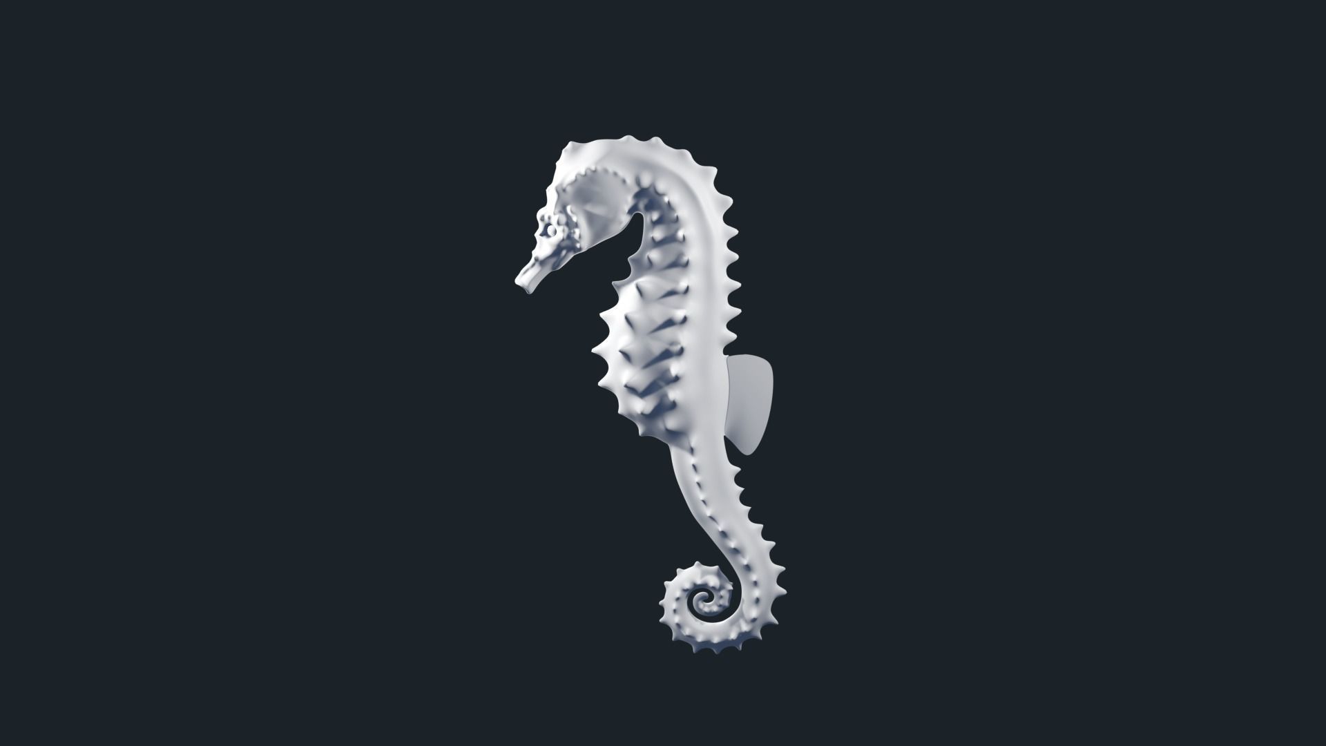 Lowpoly Seahorse Pack Low-poly 3D model_22