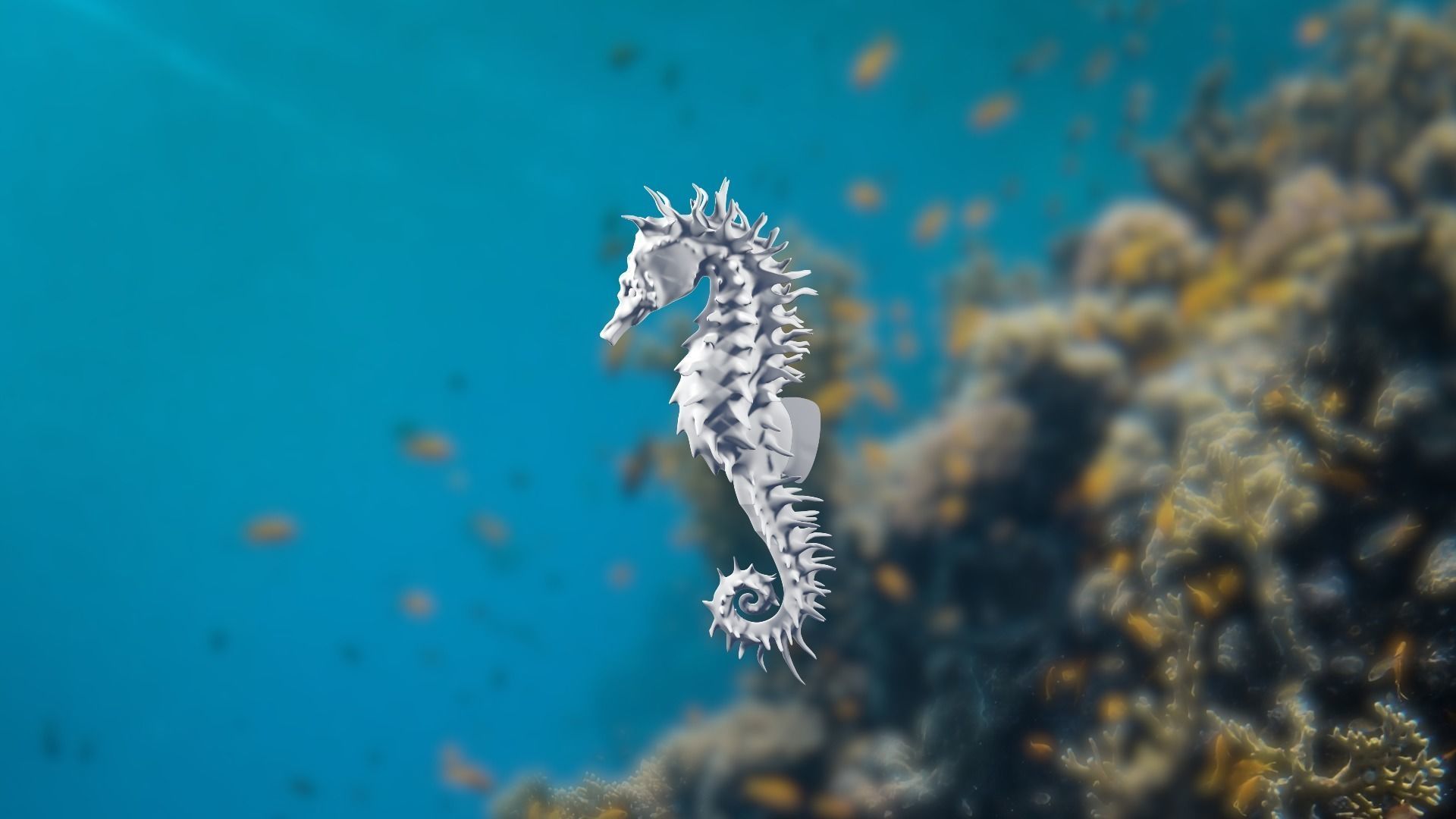 Lowpoly Seahorse Pack Low-poly 3D model_17