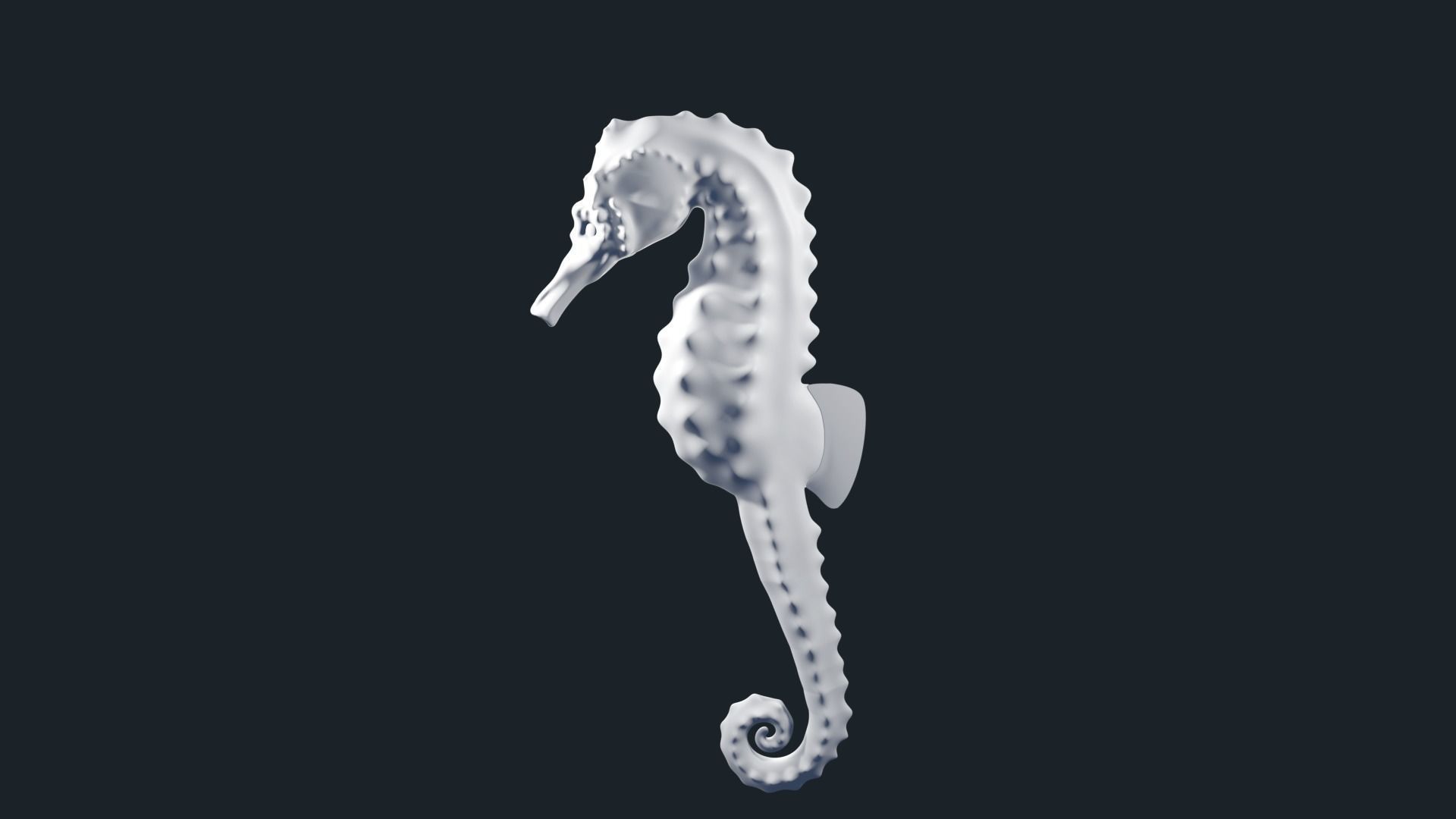 Lowpoly Seahorse Pack Low-poly 3D model_23
