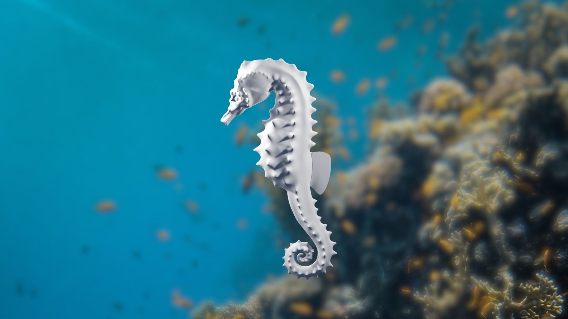 Lowpoly Seahorse Pack Low-poly 3D model_13