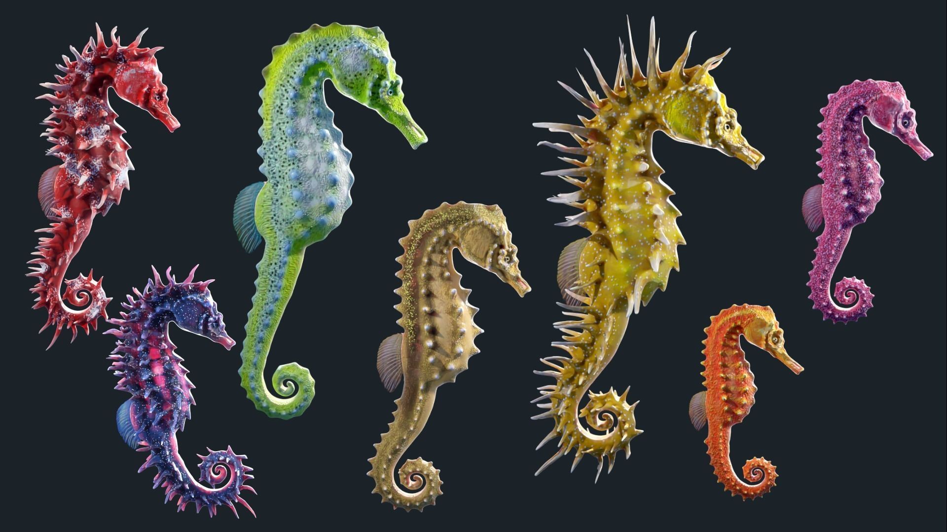 Lowpoly Seahorse Pack Low-poly 3D model_5