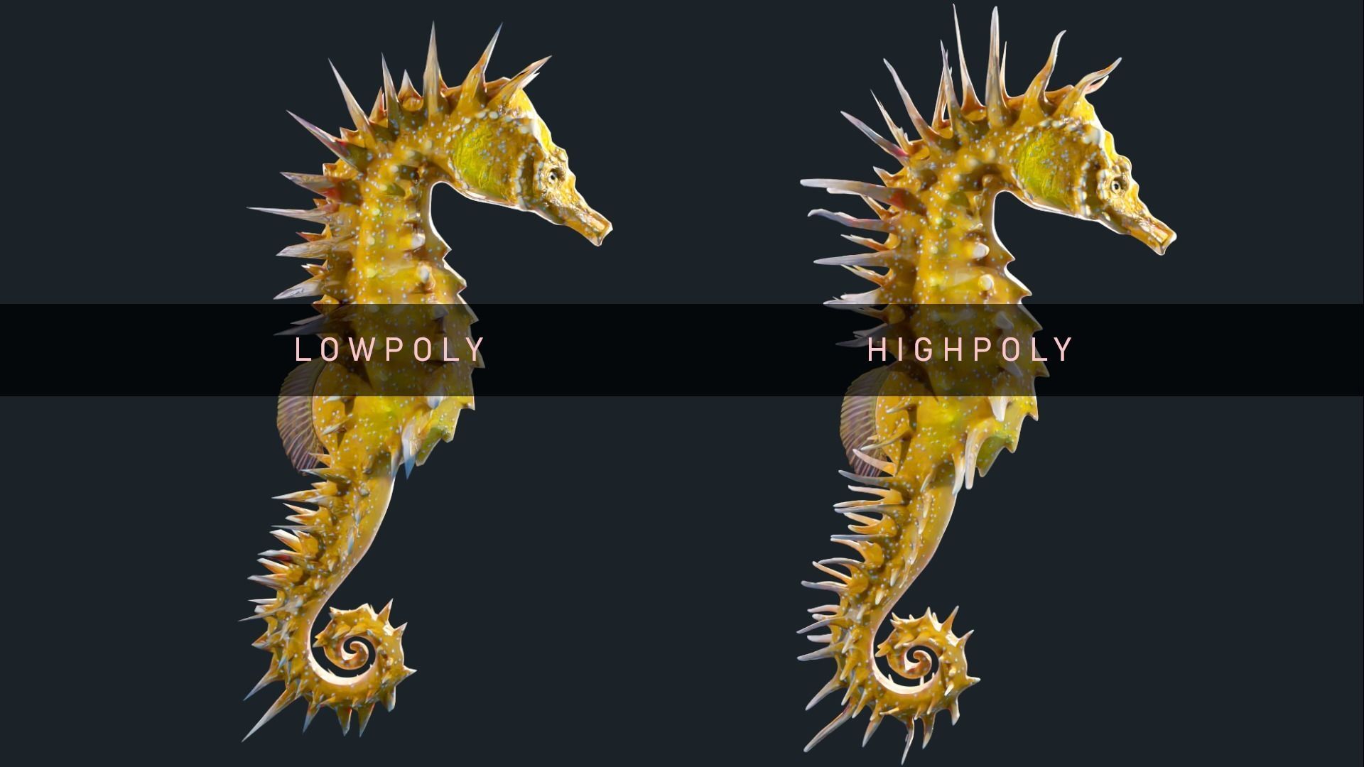 Lowpoly Seahorse Pack Low-poly 3D model_2