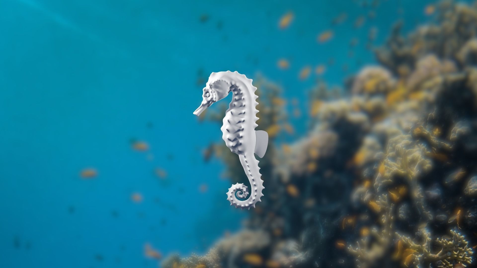 Lowpoly Seahorse Pack Low-poly 3D model_19