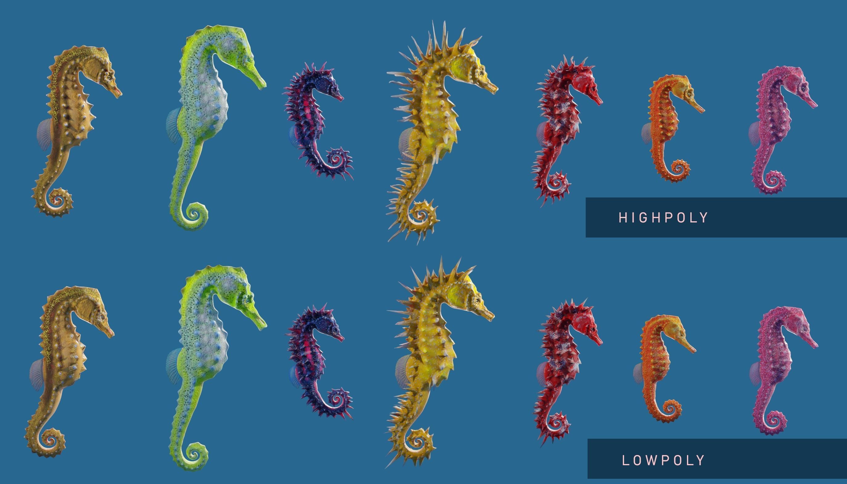 Lowpoly Seahorse Pack Low-poly 3D model_21