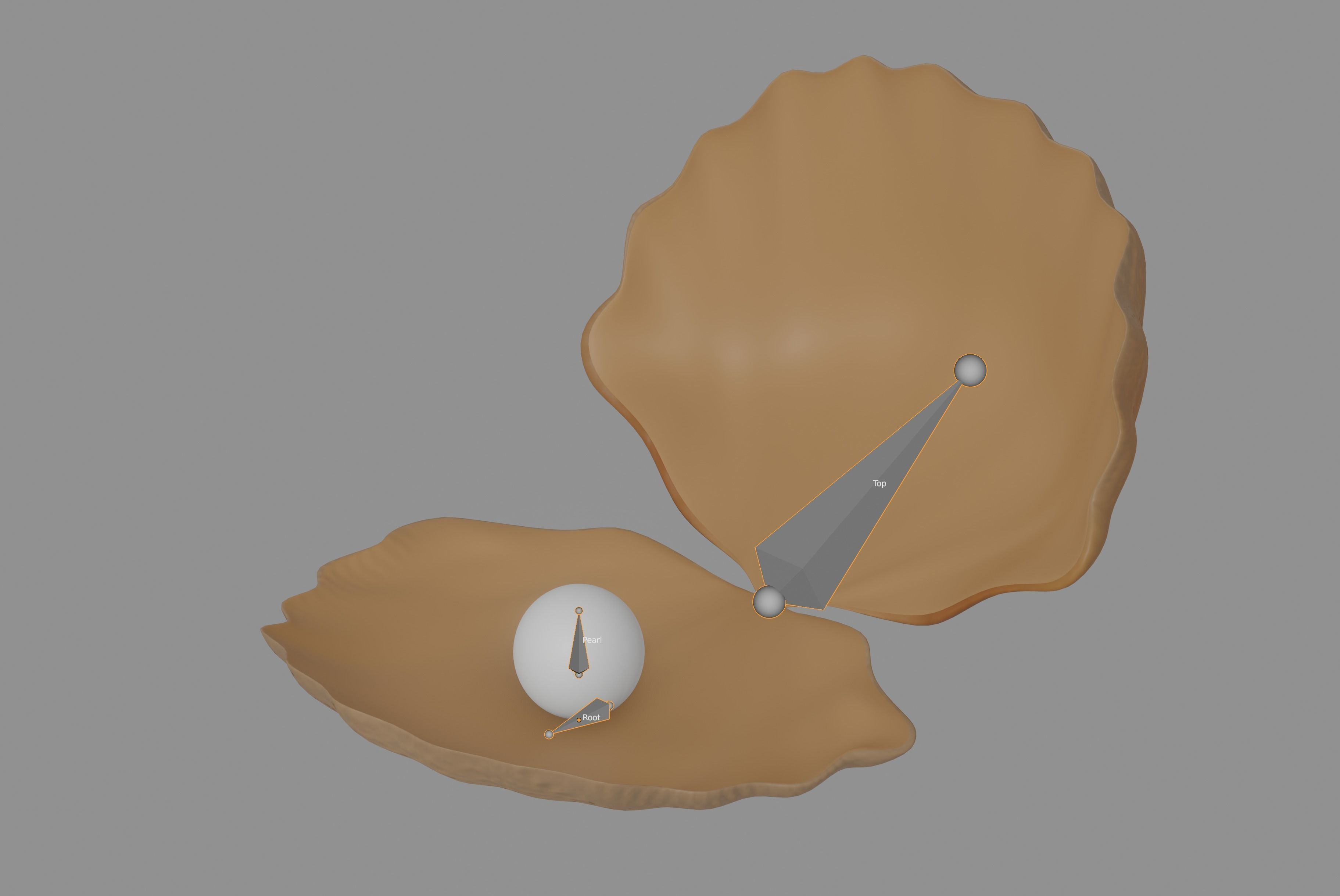 Oyster Clam 3D model_8