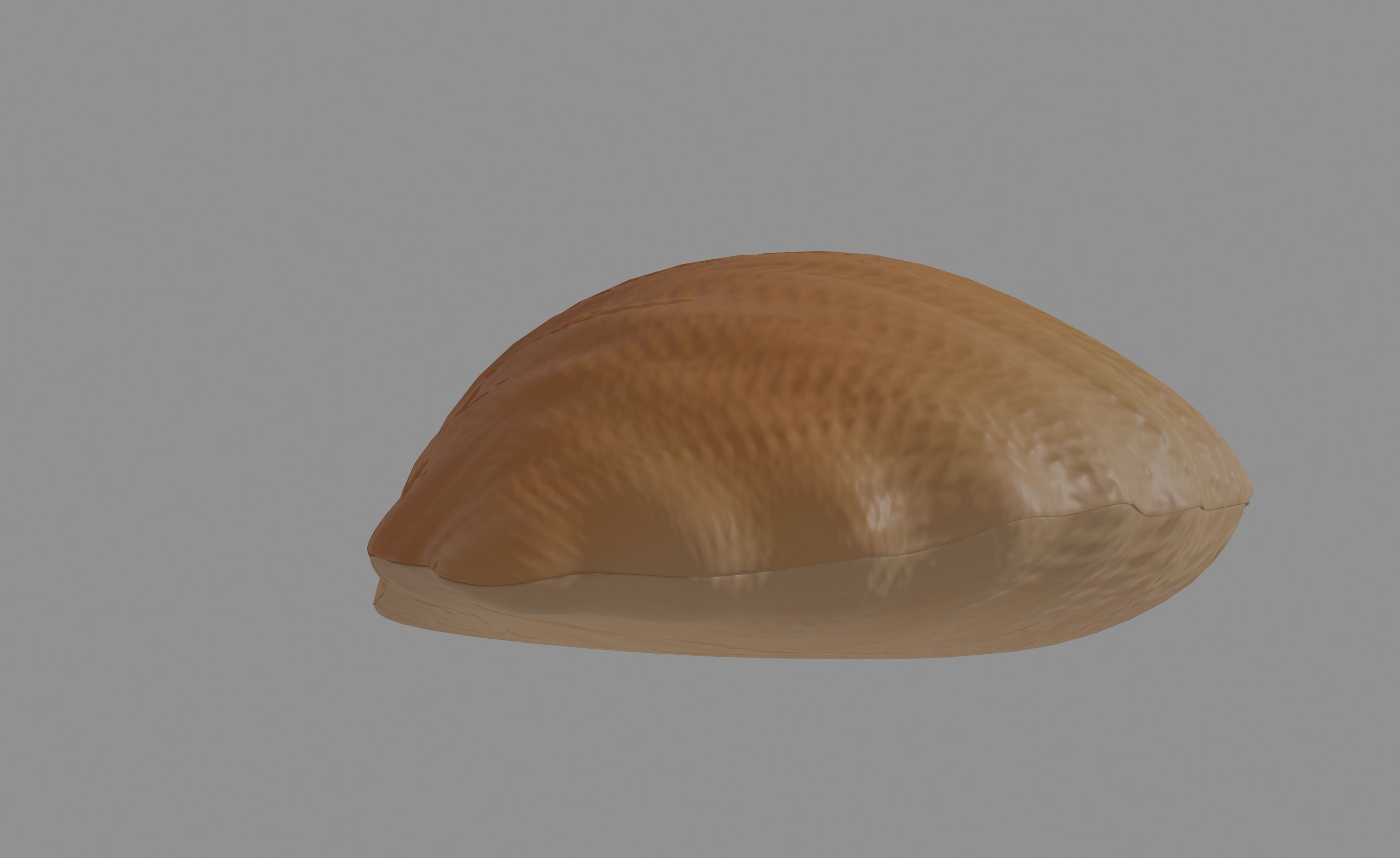 Oyster Clam 3D model_6