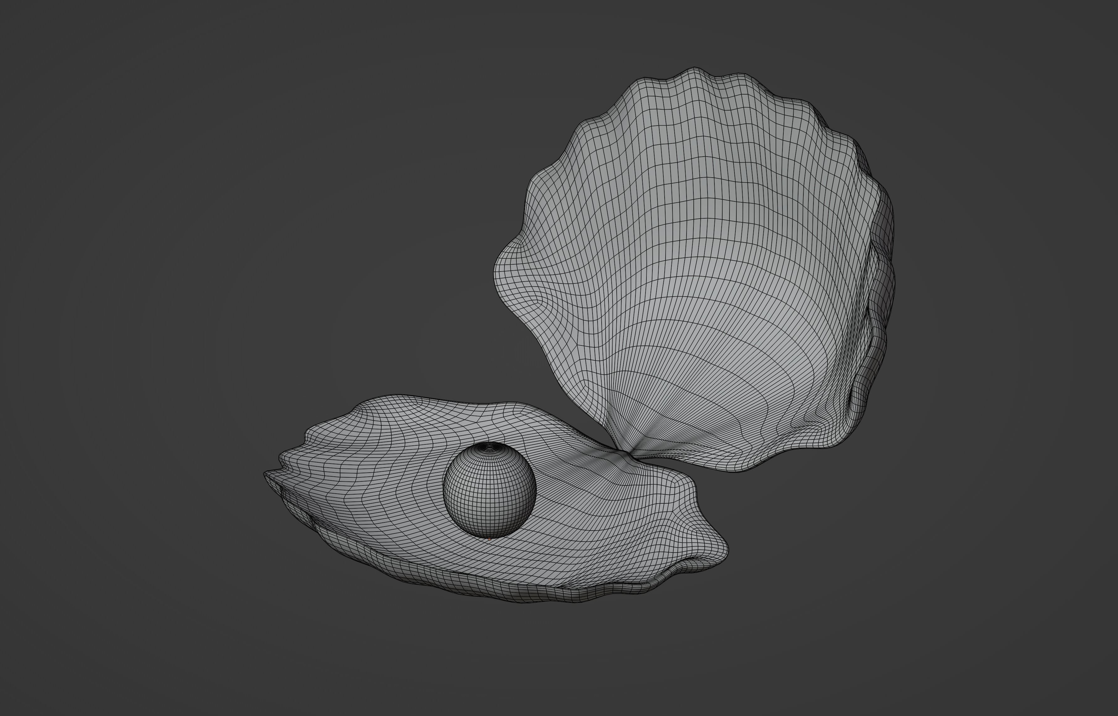 Oyster Clam 3D model_10