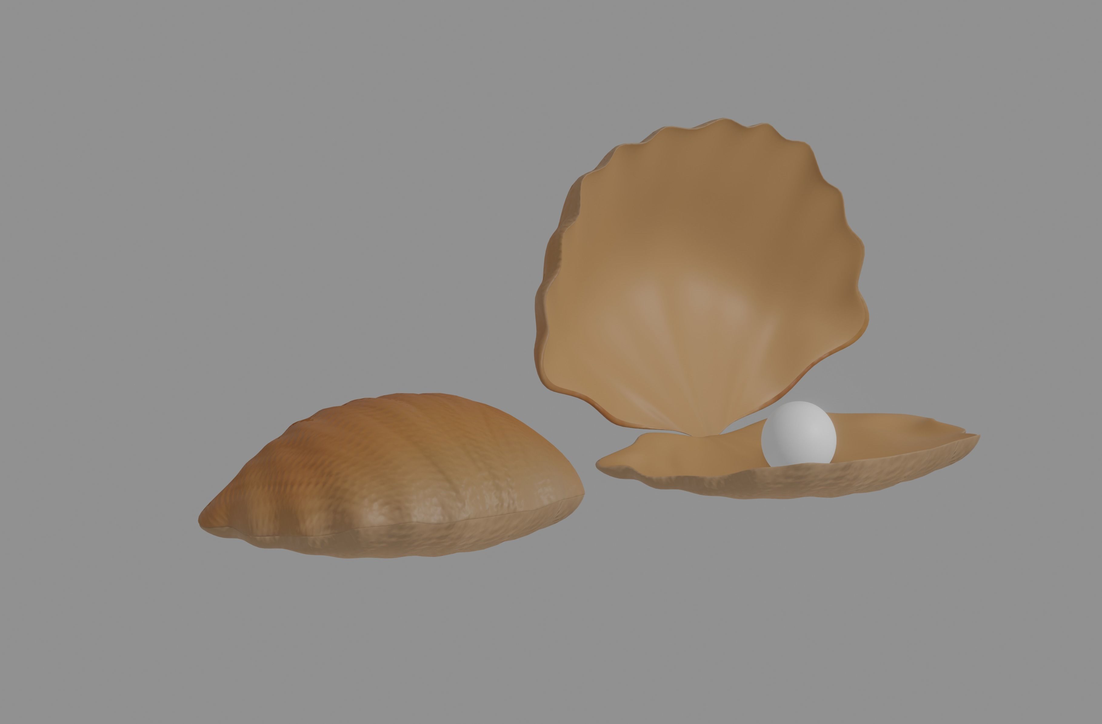 Oyster Clam 3D model_2