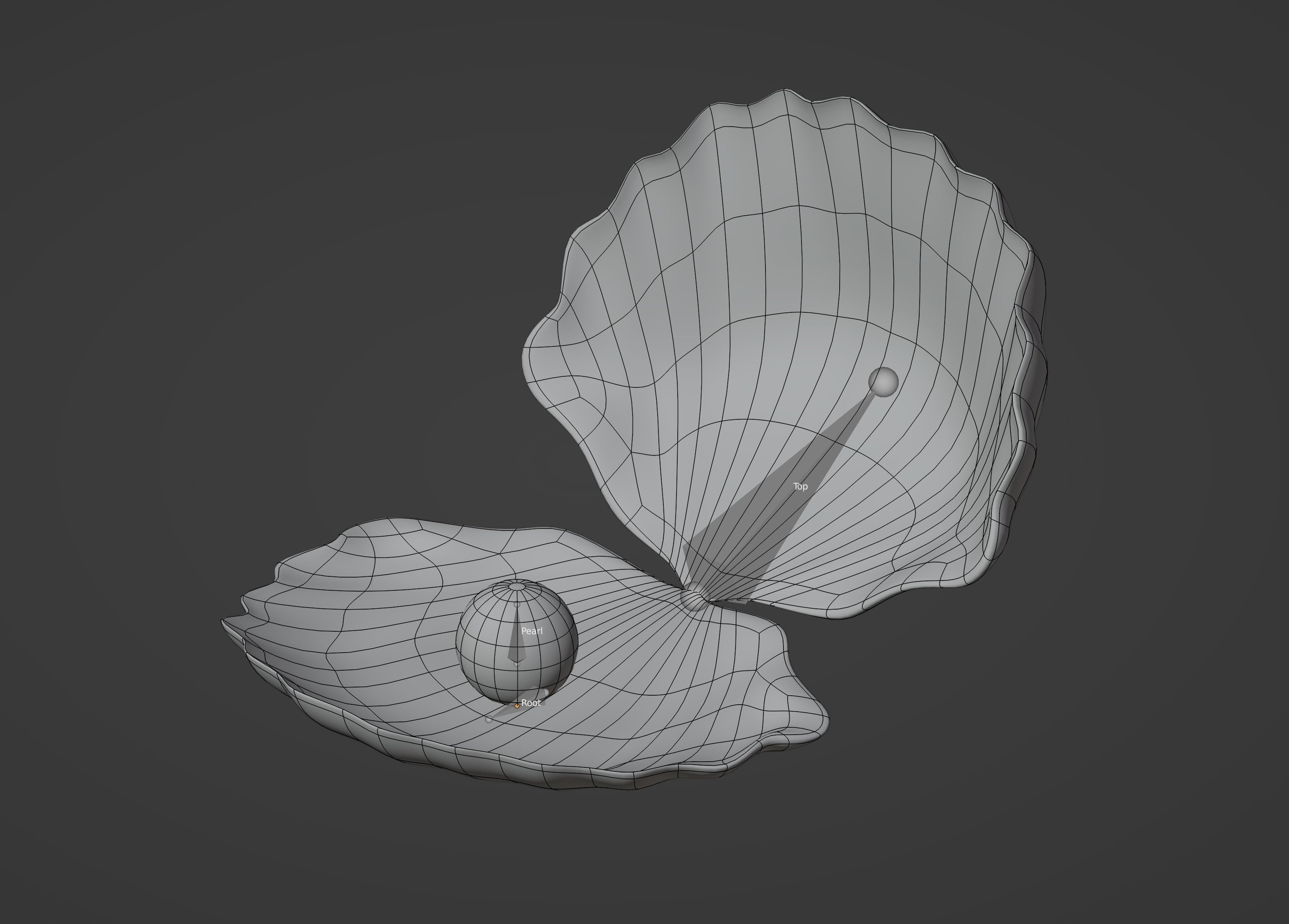 Oyster Clam 3D model_9