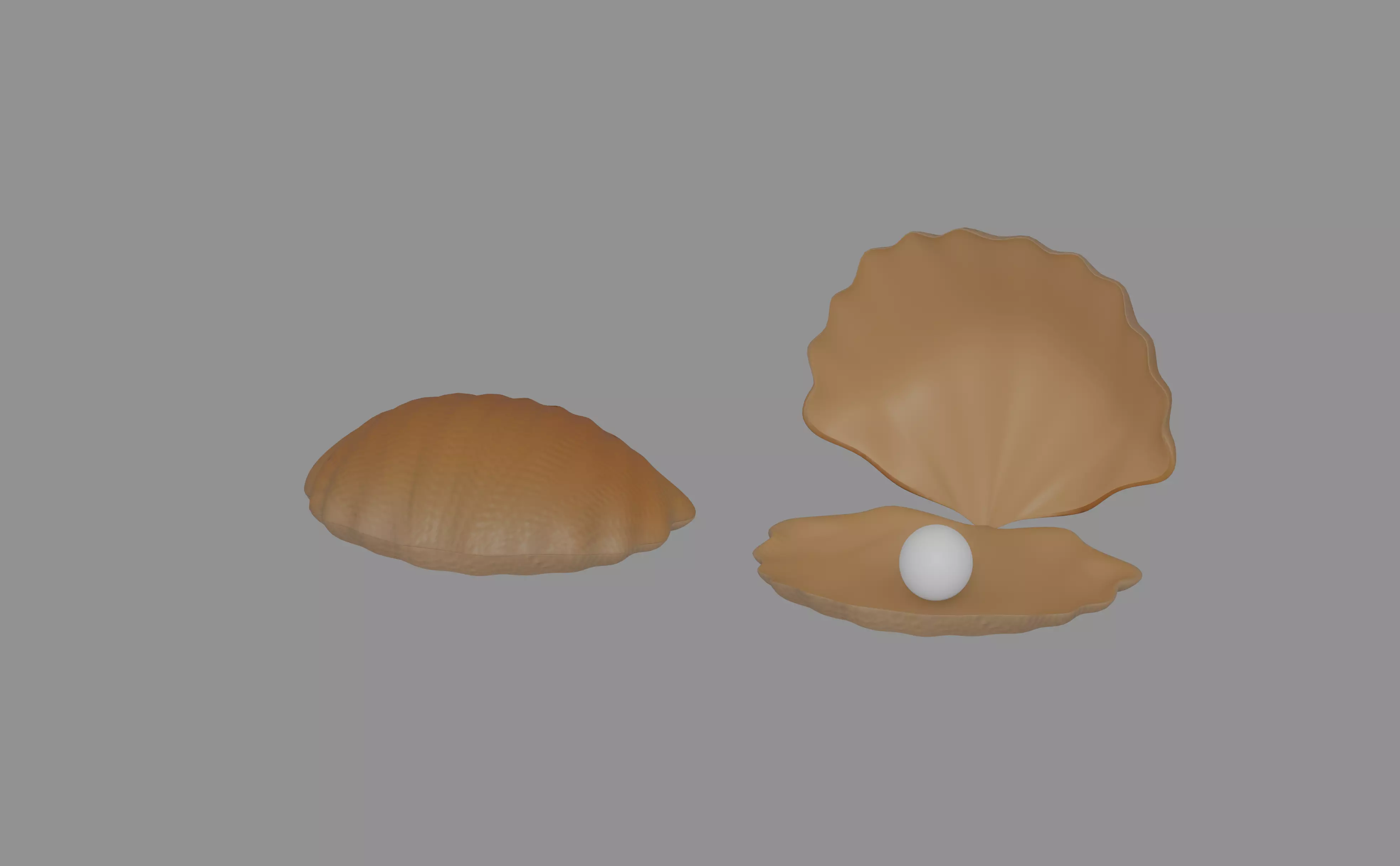 Oyster Clam 3D model_0