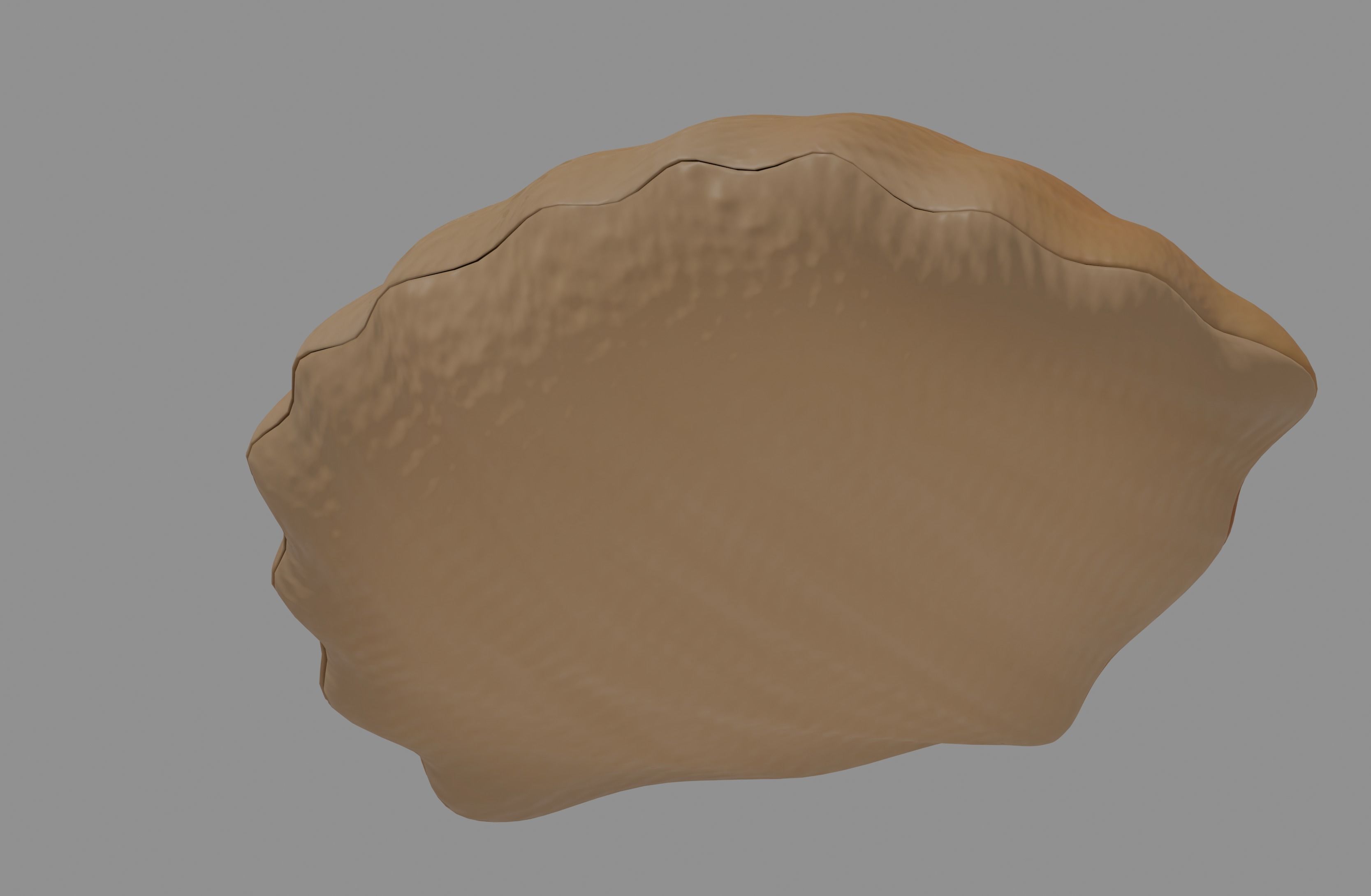 Oyster Clam 3D model_5