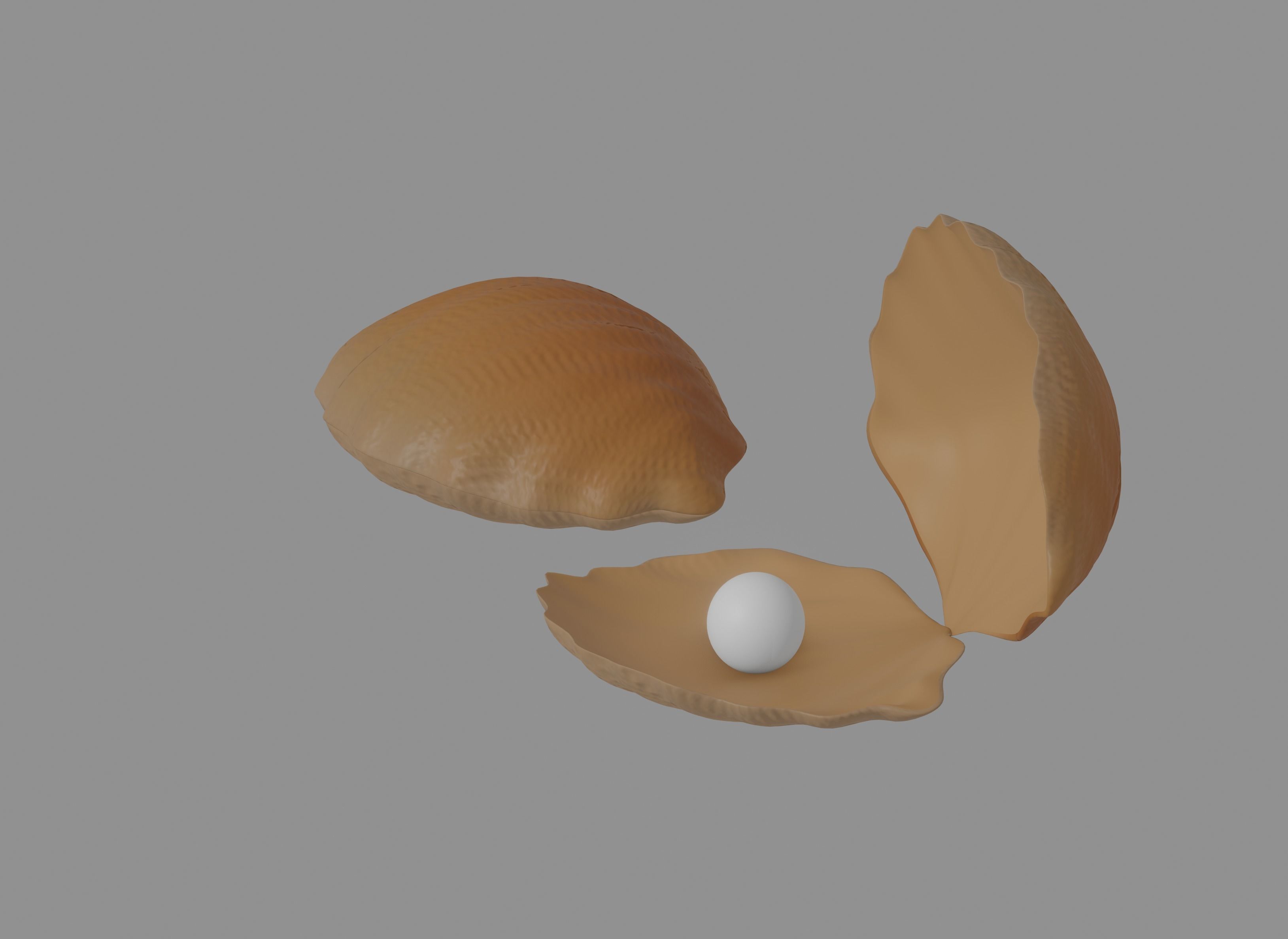 Oyster Clam 3D model_1