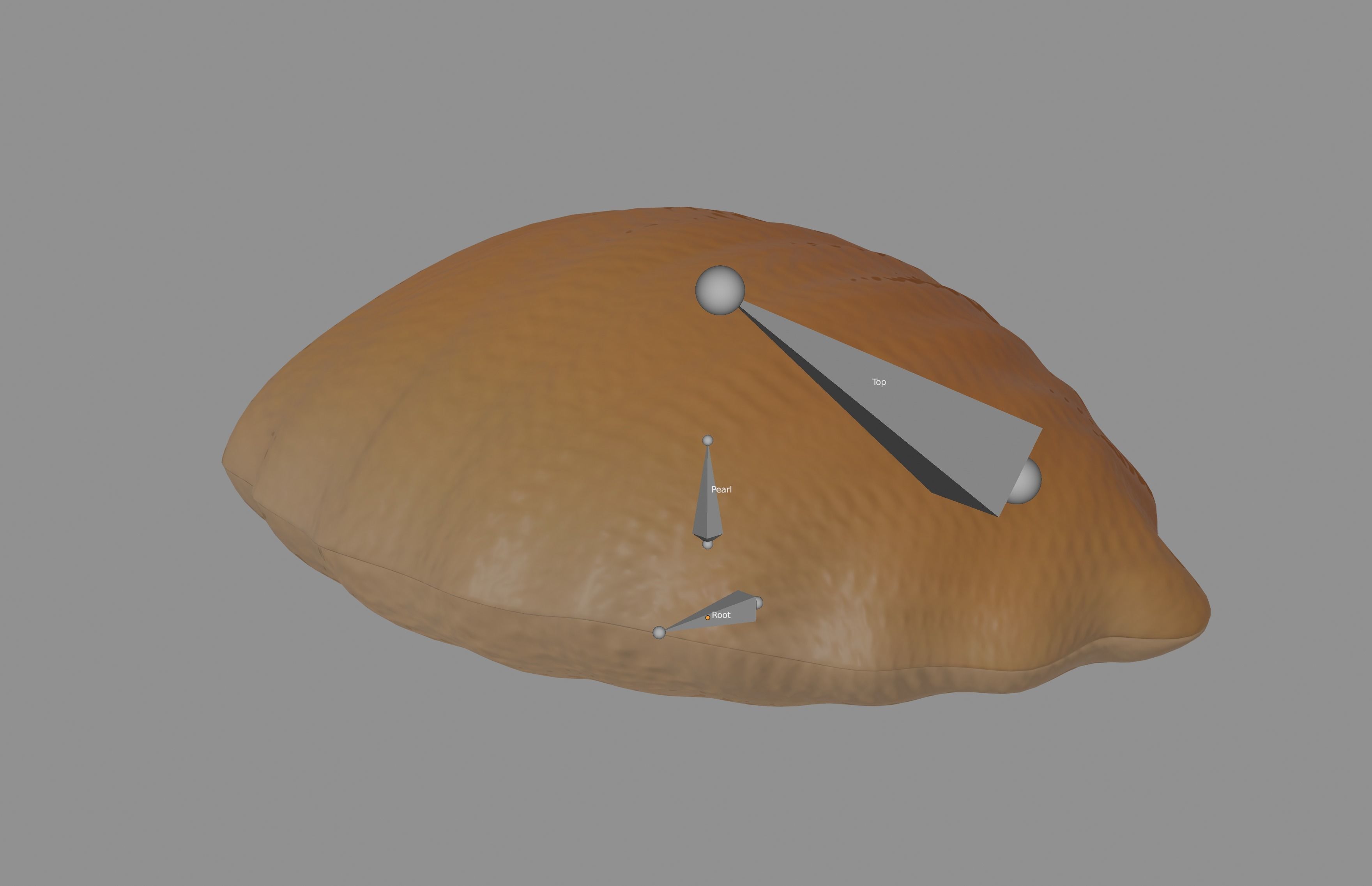 Oyster Clam 3D model_7