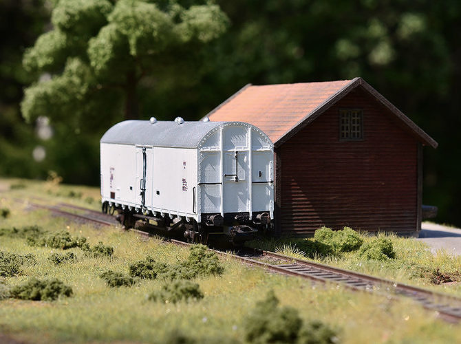 ROLLS-0022 Swedish Railways box car Litt Grf H0-scale 3D print model 3