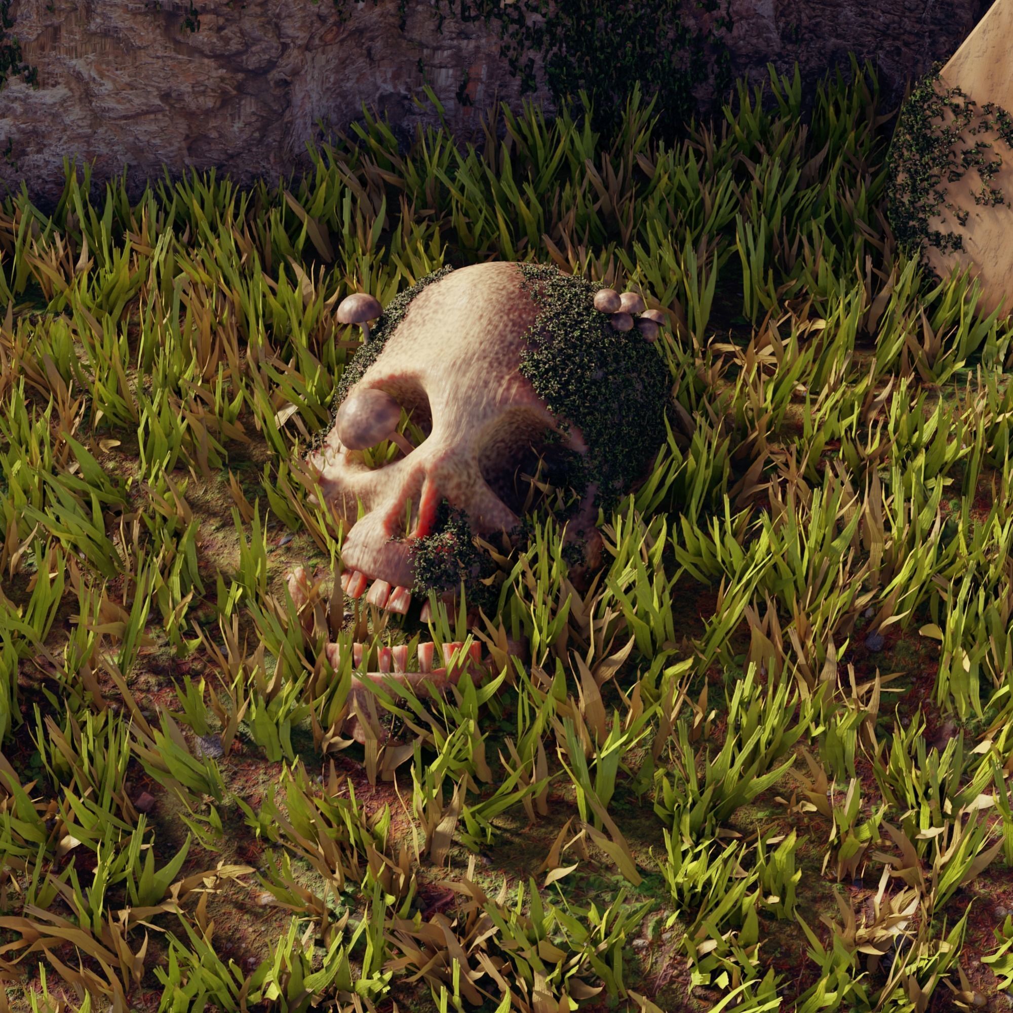 Normal and Decayed Skull - 3D Model 3D model_3