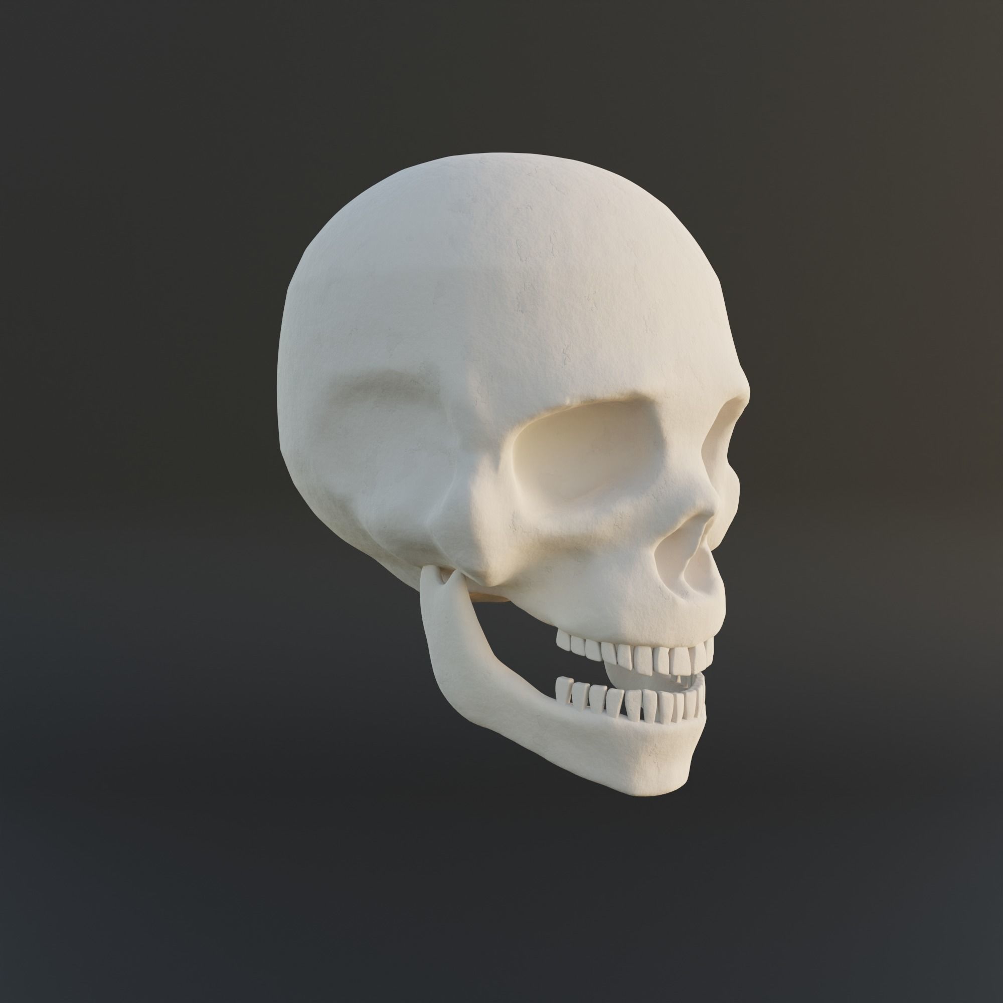 Normal and Decayed Skull - 3D Model 3D model_2