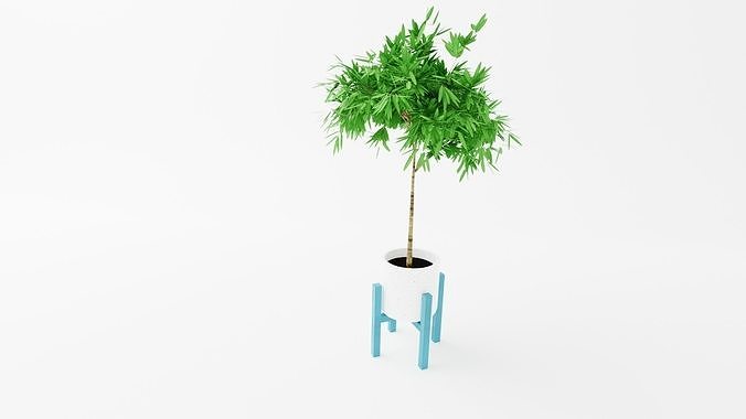 Terrace set bamboo plant in pot 3D model 5