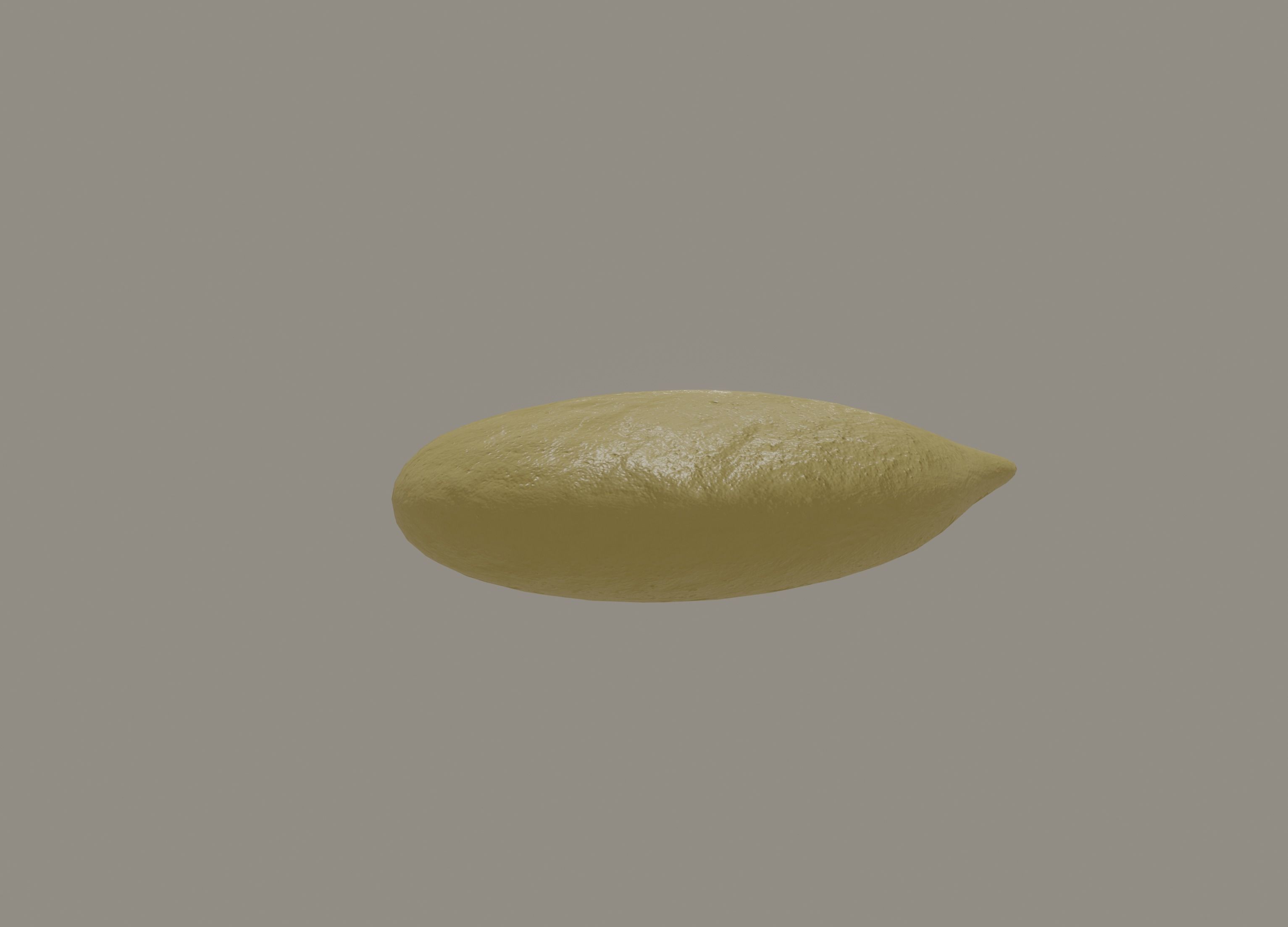 Seed model 3D model_4