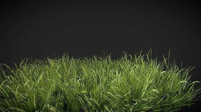 Realistic Grass 920 Low-poly 3D model