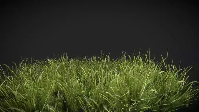 Realistic Grass 920 Low-poly 3D model